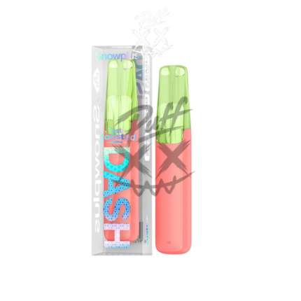 Snowplus DASH 4000 Puffs